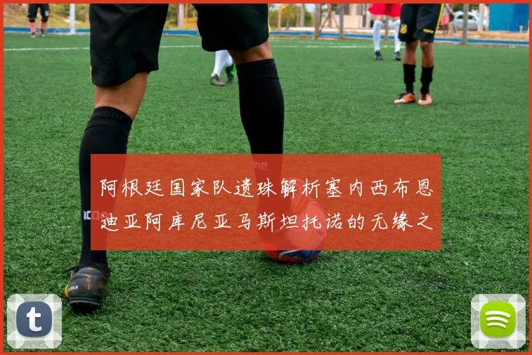阿根廷国家队遗珠解析塞内西布恩迪亚阿库尼亚马斯坦托诺的无缘之路