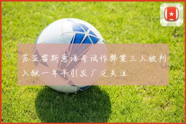 苏亚雷斯意语考试作弊案三人被判入狱一年半引发广泛关注